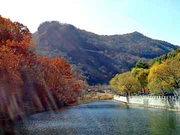 新澳天天开奖资料大全旅游团，键盘寿命测试